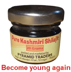 Kashmiri Shilajit Paste
